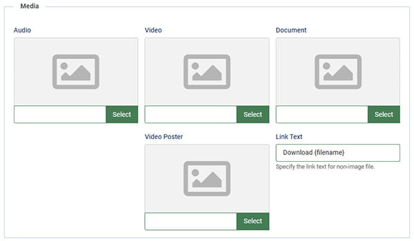 Preview of the new media custom field options